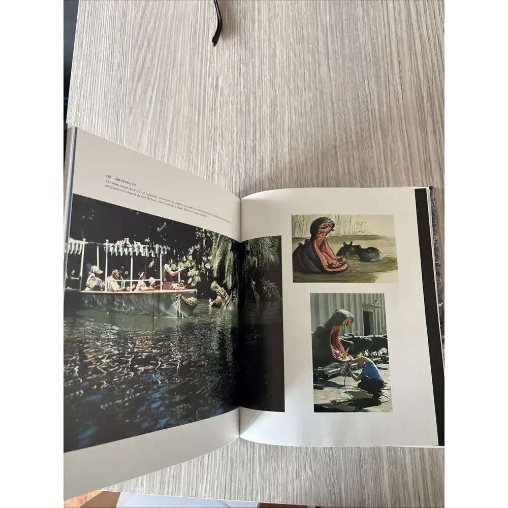 Disneyland Inside Story Randy Bright 1987 Hardcover Book w/ Dust Jacket Disney